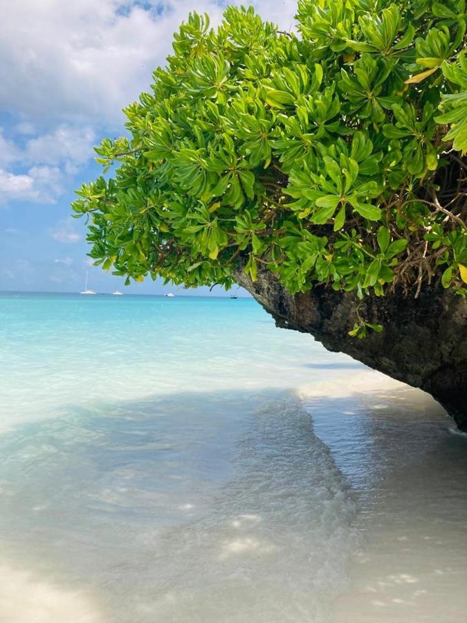 Miti Beach Bungalows Nungwi Dış mekan fotoğraf