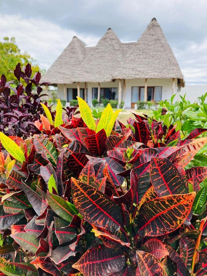 Miti Beach Bungalows Nungwi Dış mekan fotoğraf
